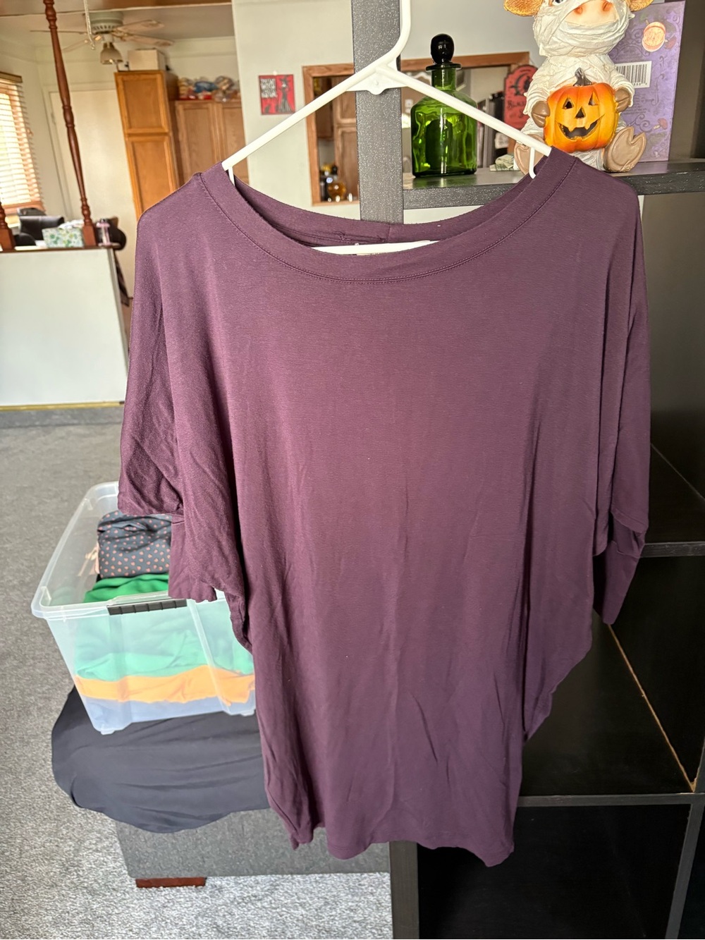 41 Hawthorn Relaxed Boatneck Top in Plum
